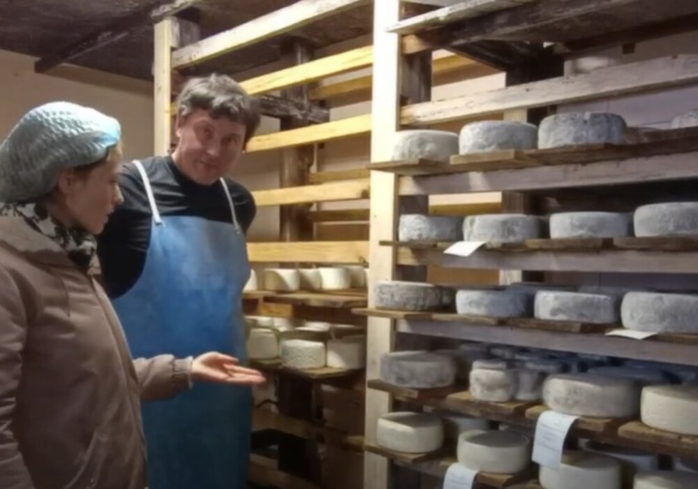 Fabrication de fromages à la ferme de l’Abérieux 